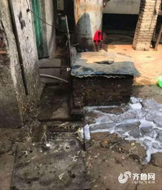 环保亮剑 地方畜禽屠宰加工环节环境问题不容忽视